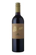 2023 Nebbiolo