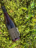 2026 The Sauce Grenache