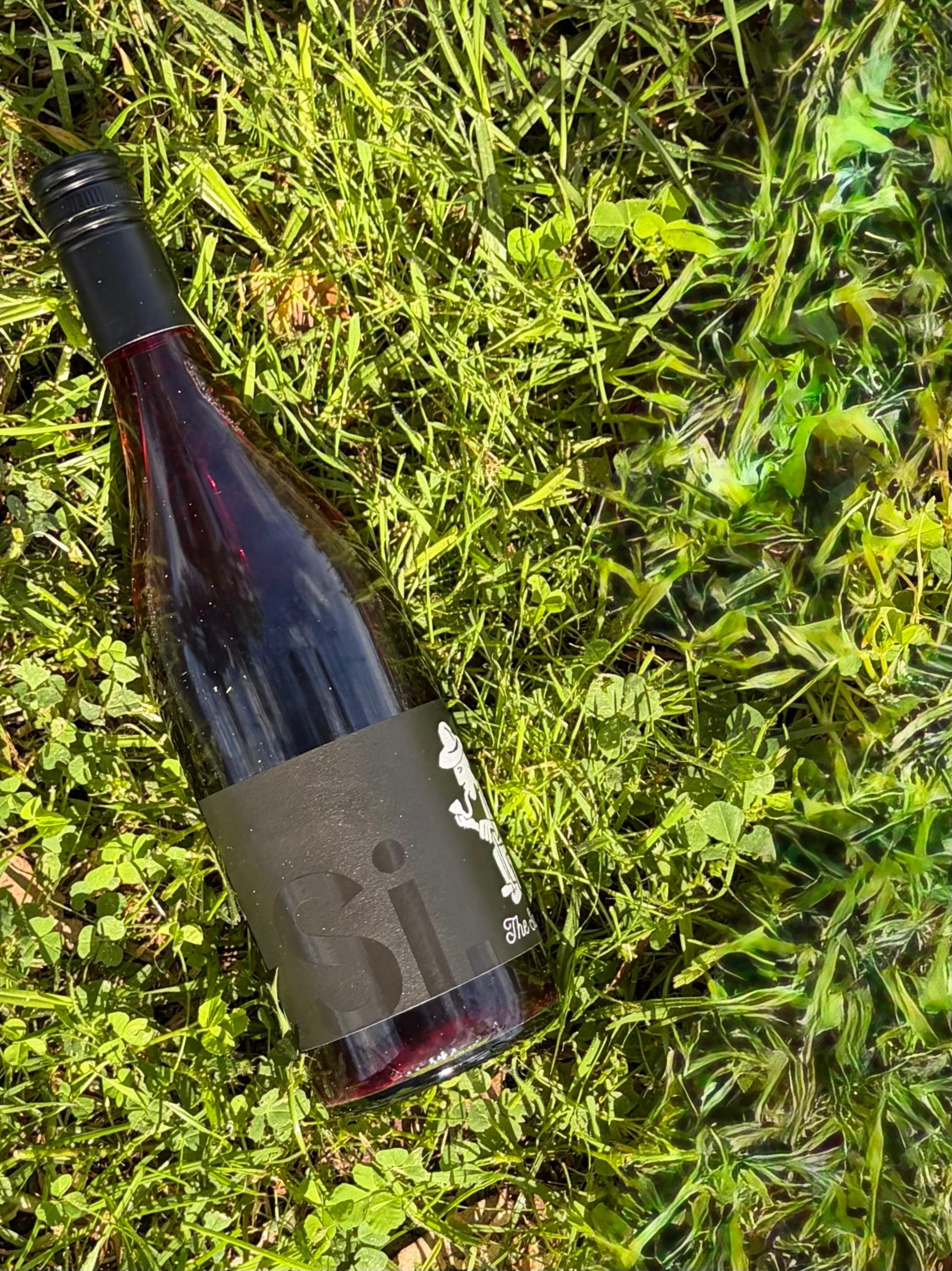 2026 The Sauce Grenache