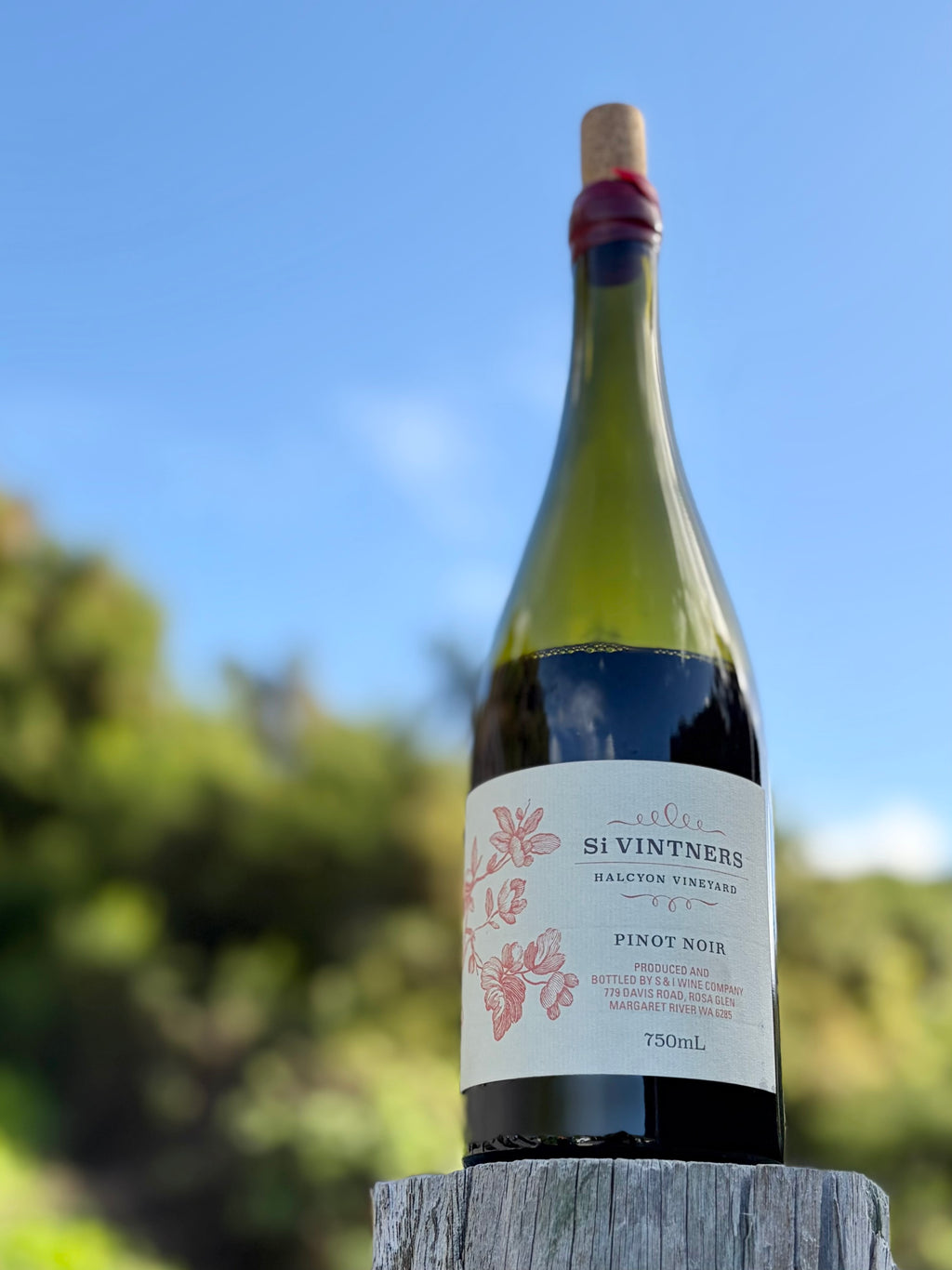 2024 Halcyon Pinot Noir