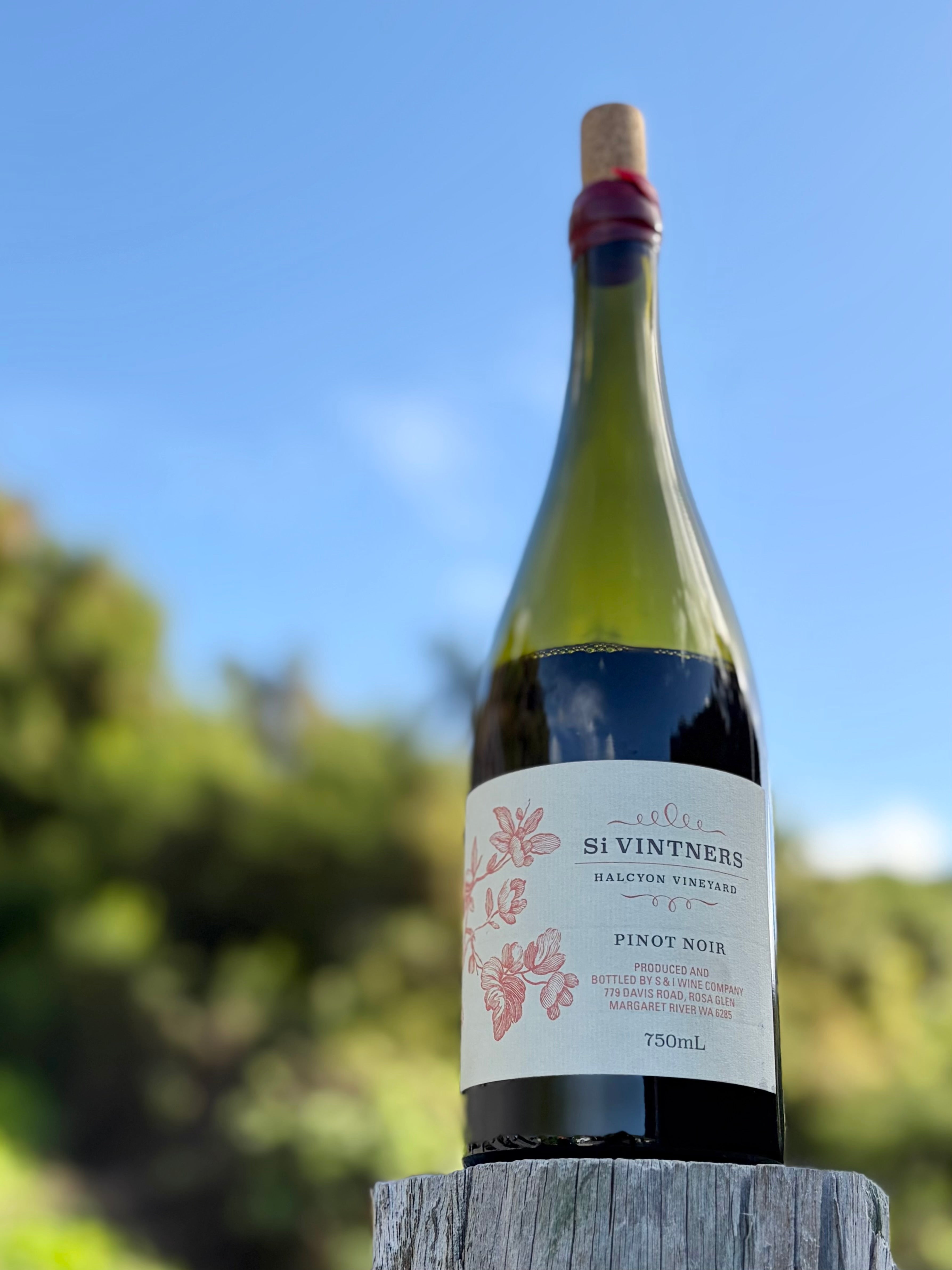 2024 Halcyon Pinot Noir