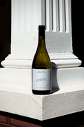 Felix Caspar 2024 "Pippa" Chardonnay